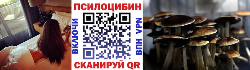Псилоцибиновые грибы Psilocybine cubensis  кракен как зайти  Медынь 